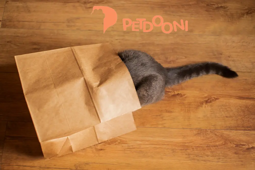 چگونه با بوگیر خاک گربه یا خشبوکننده خاک گربه مناسب فضای خانه را همیشه مطبوع نگه داریم | ترفند ساده و طبیعی در پت شاپ آنلاین پت دونی 1404